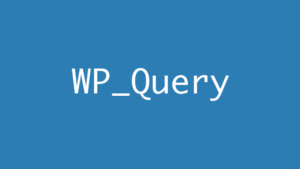 wp query