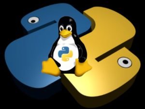 how to install python on linux